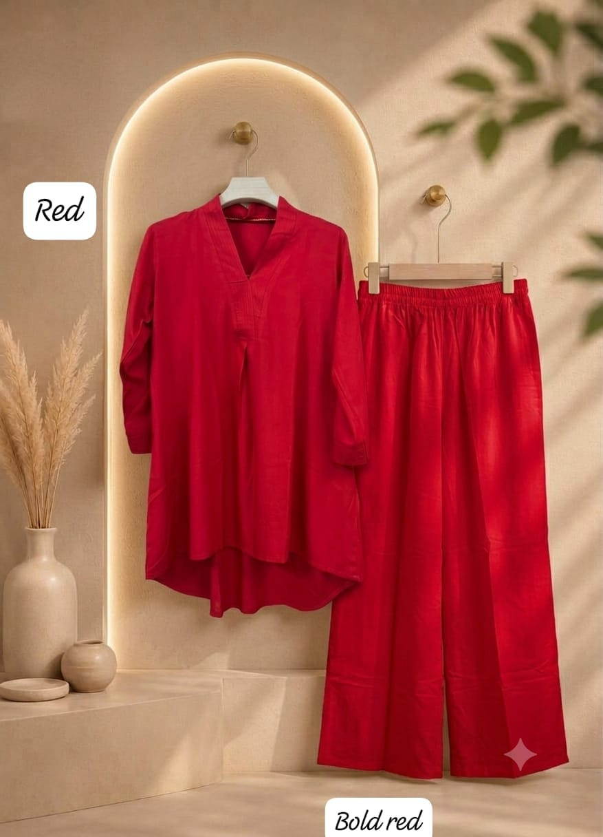 PAKISTANI STYLE CO ORD SET