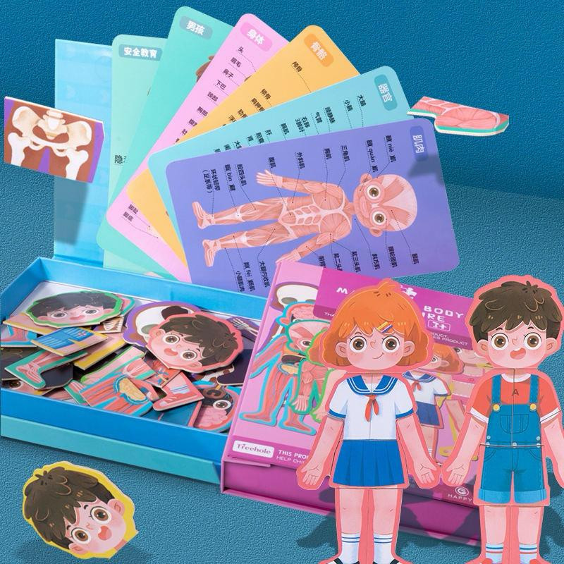 Magnetic Body Puzzle